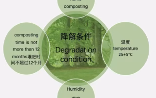Production and Applications of Cellulose Film