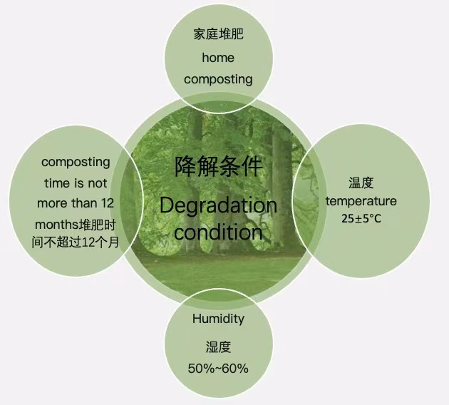 Production and Applications of Cellulose Film
