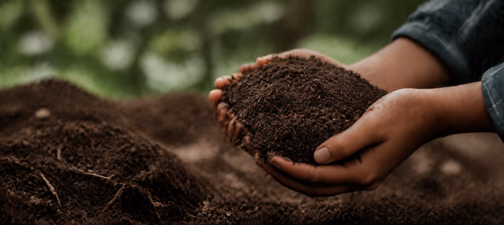 From Plastic to CompostablePractical Applications of Biodegradable Materials in Flexible Packaging